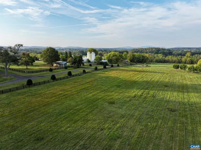 a view of a forest with trees in the background