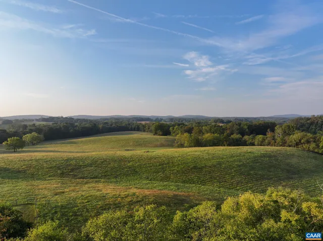 a view of a park with large trees
