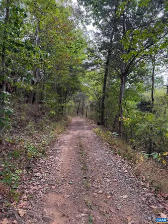 $5,575,000 | 575 Arcadian Way, Orange, VA 22960