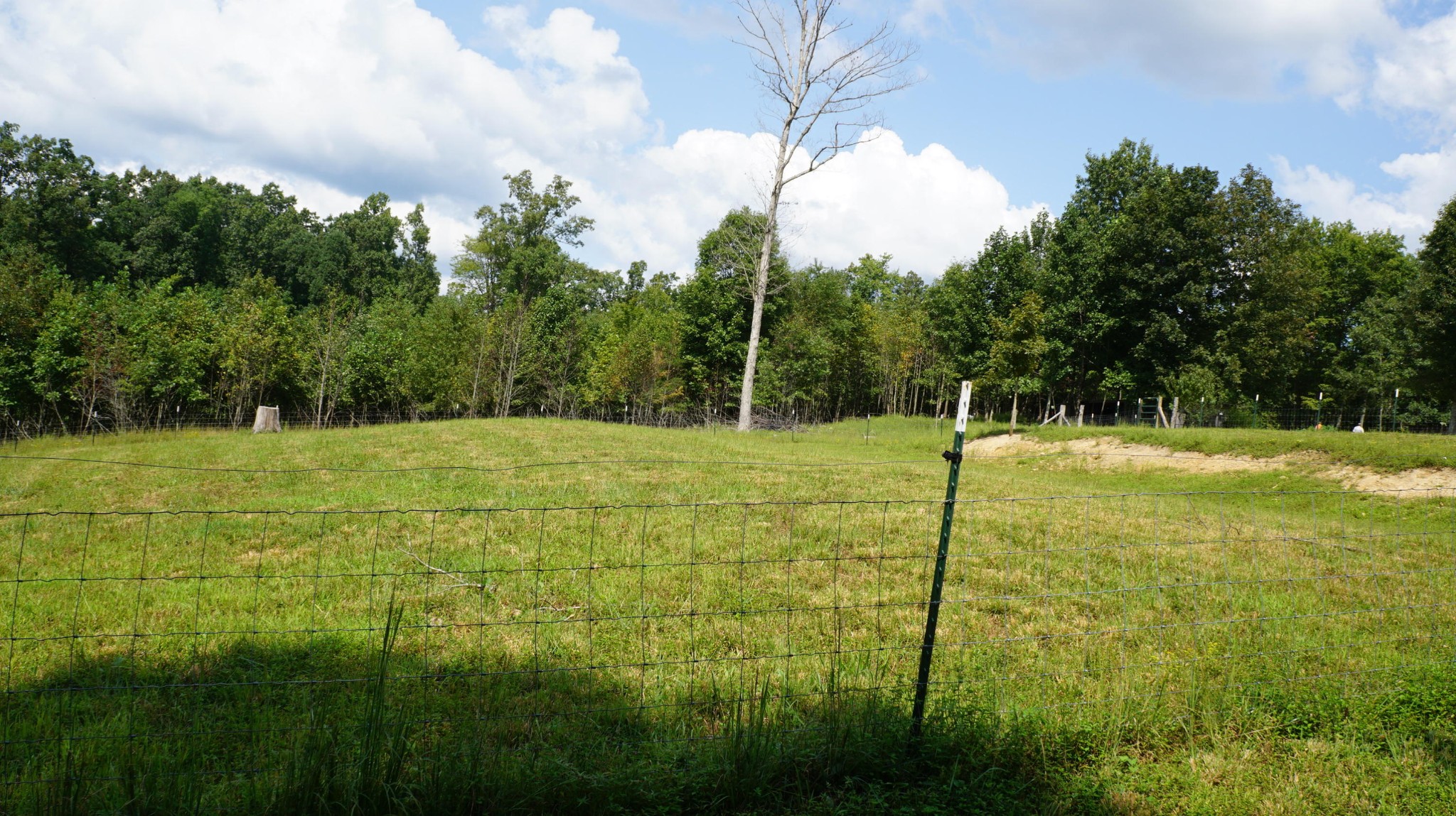 574 Old Ridge Road Sparta, TN 38583 - Photo 15 of 27 Gallery Image 15
