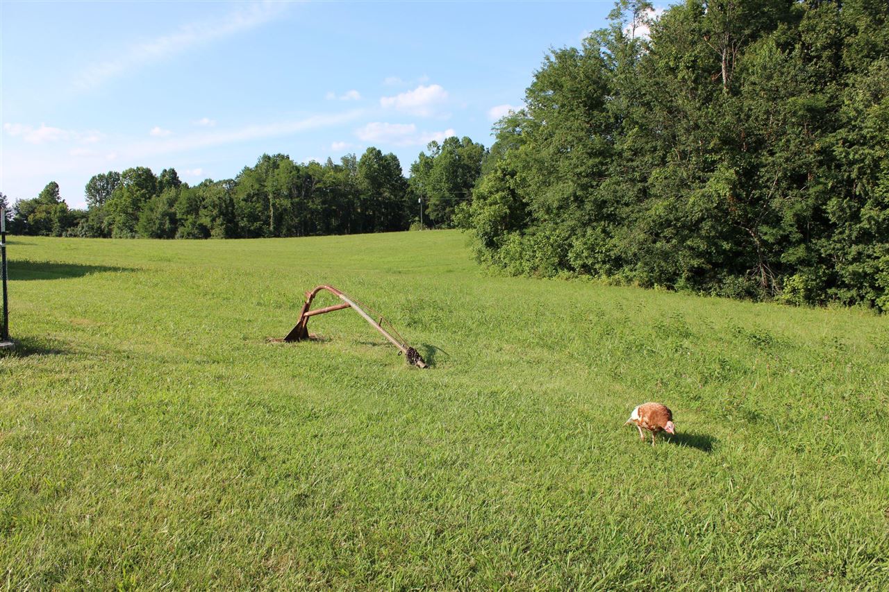 3588 Cherry Spring Road Cub Run, KY 42729 - Photo 6 of 22 Gallery Image 6