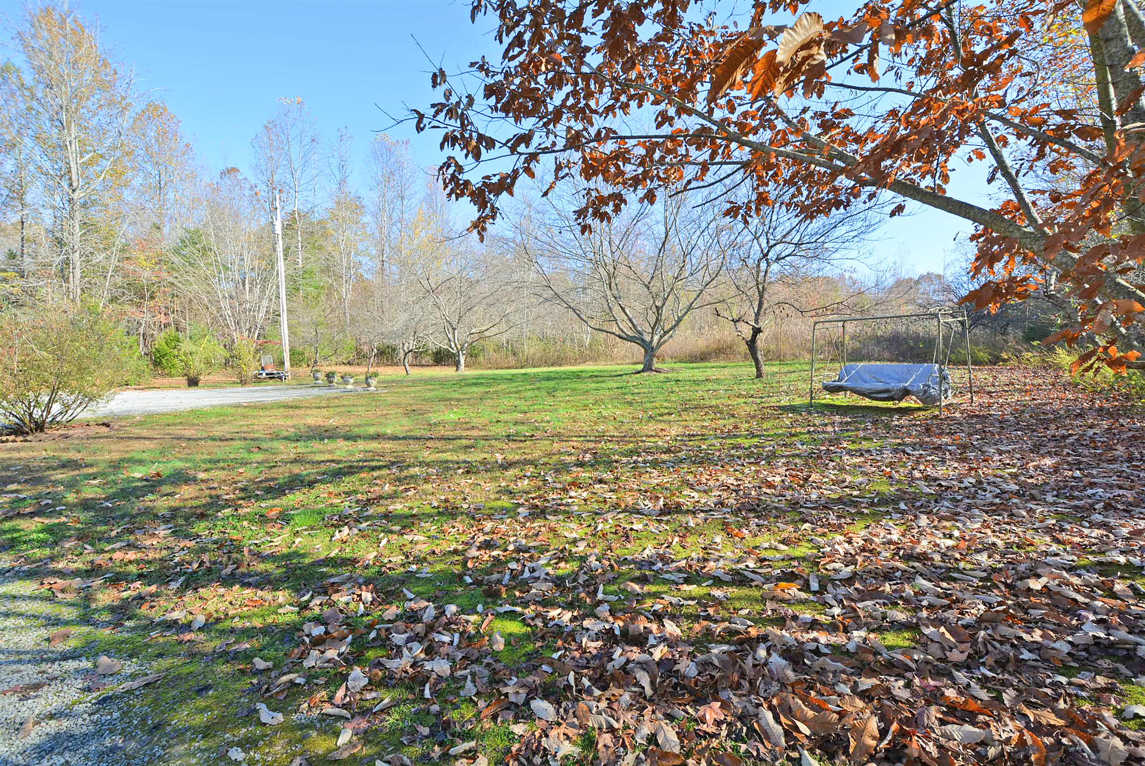 745 Balthrop Road Chapmansboro, TN 37035 - Photo 13 of 14 Beautiful mature trees!