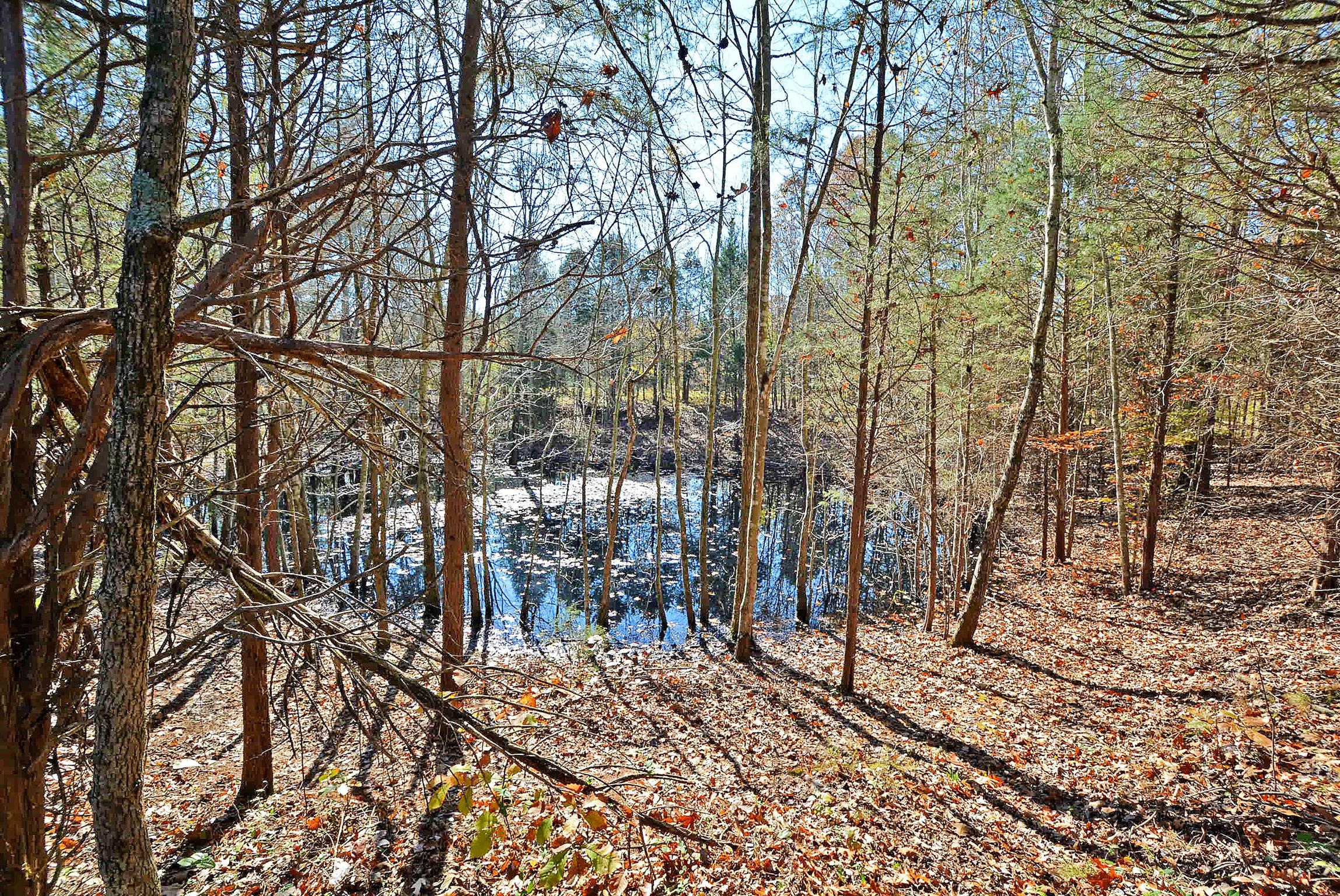 745 Balthrop Road Chapmansboro, TN 37035 - Photo 14 of 14 Pond on property! A serene getaway!