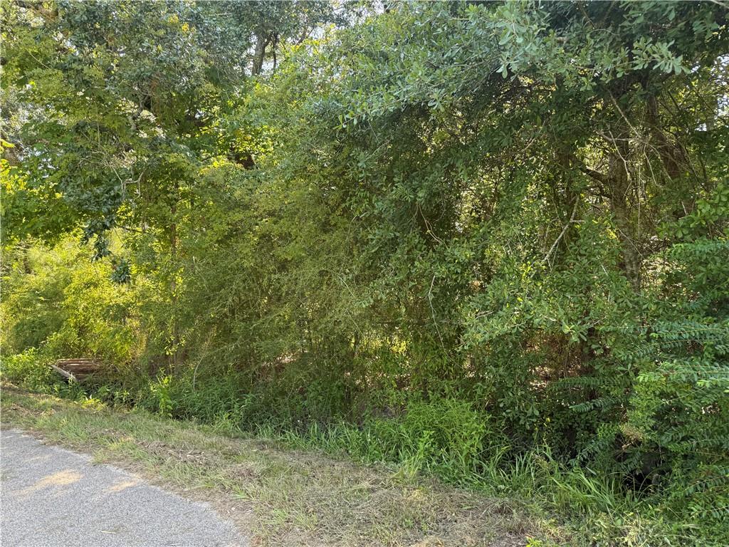 9999 Maple Avenue Slidell, LA 70461 - Photo 2 of 5