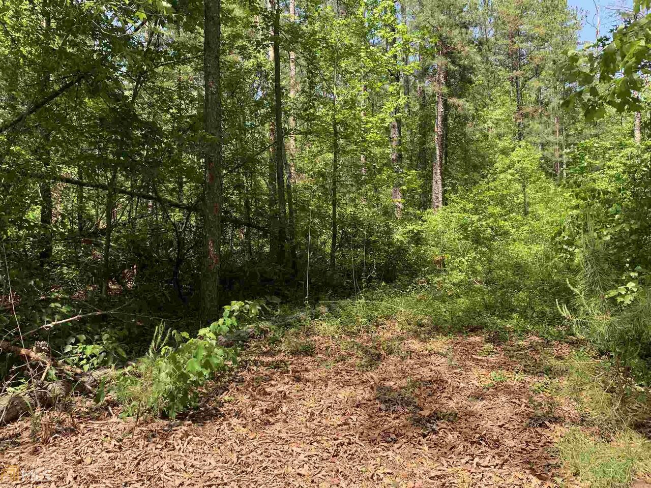0 Lewis Crump Road, Unit 1 75 AC Carnesville, GA 30521 - Photo 1 of 1