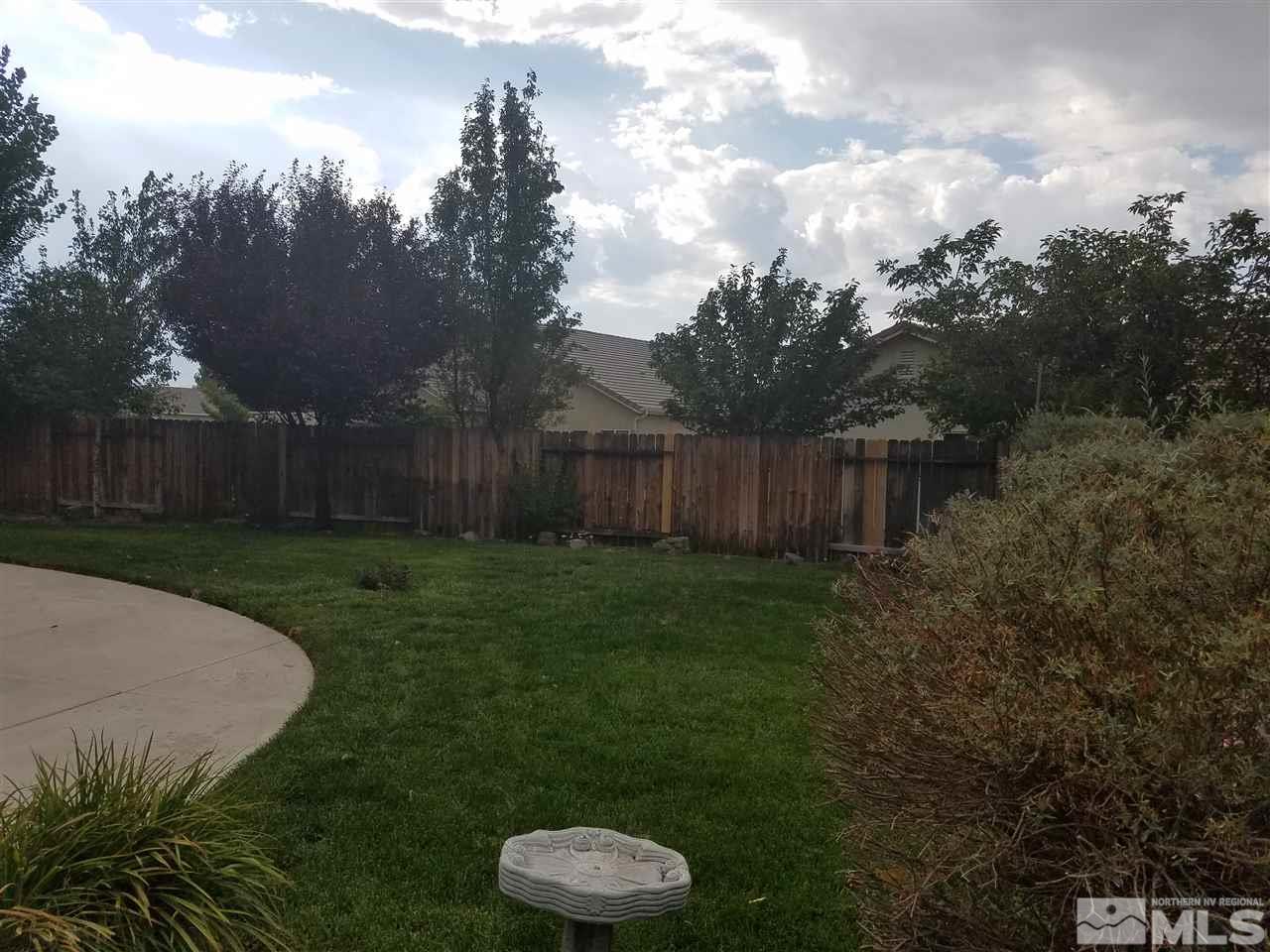 9625 Glen Ridge Drive Reno, NV 89521 - Photo 22 of 23 a view of a backyard with barn and a large cactus tree