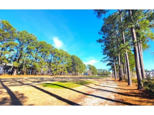 427 Colonial Trace Drive, Unit 1E Longs, SC 29568 - Photo 33 of 35 View of street