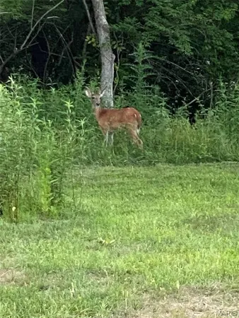 $319,900 | 5000 Lily Ridge, Defiance, MO 63341