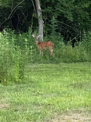 $319,900 | 5000 Lily Ridge, Defiance, MO 63341