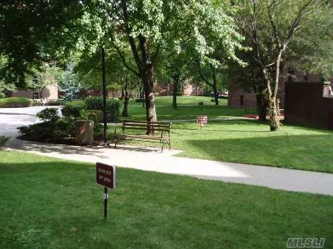 a view of a park with a tree