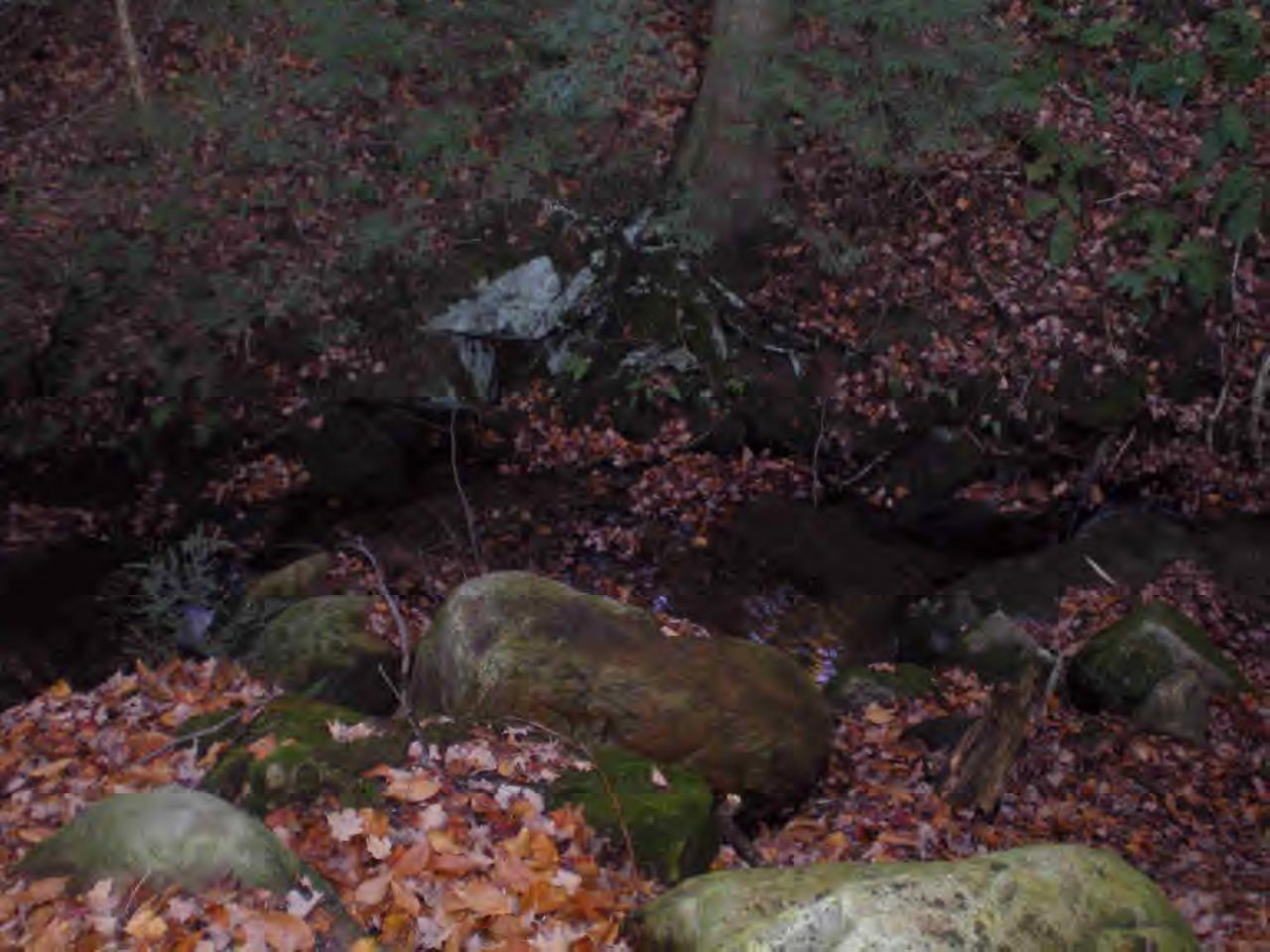 440 Sandmill Road Cheshire, MA 01225 - Photo 3 of 5 a view of a tree