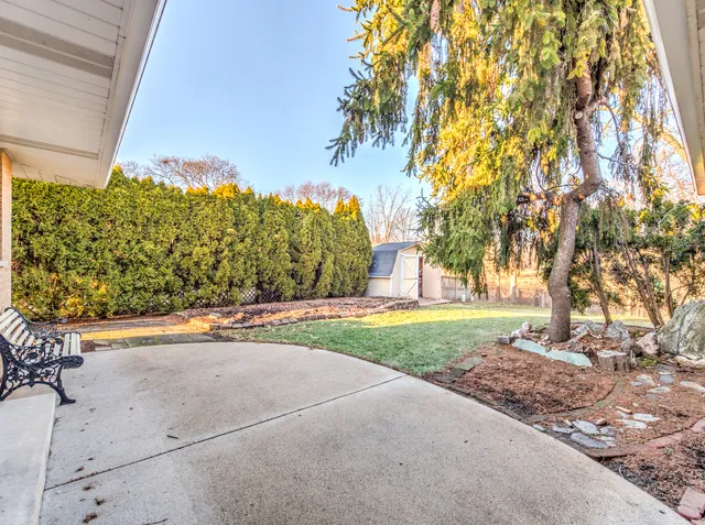a view of a yard with flower plants