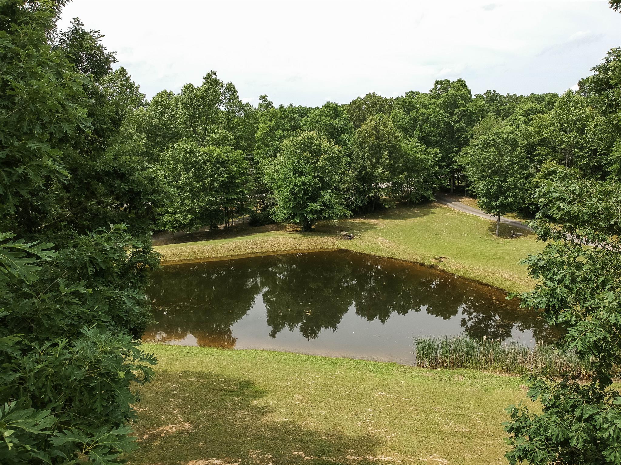Follow the long paved driveway and enjoy the view of this park-like setting as you approach the house. The pond is 7 to 9 feet deep and is stocked with bass.
