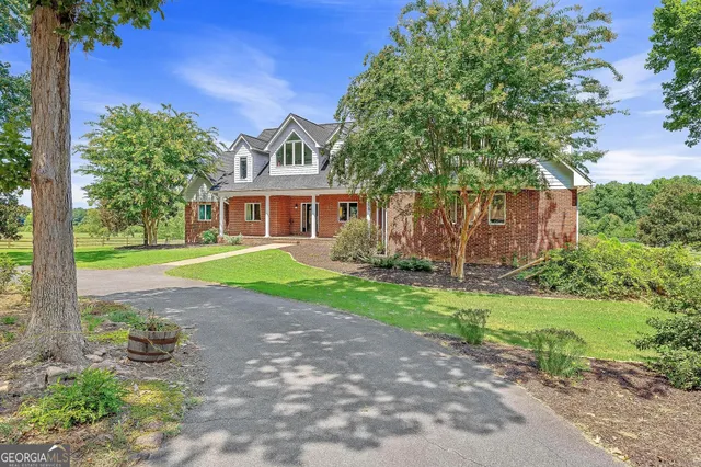 a view of a park with large trees