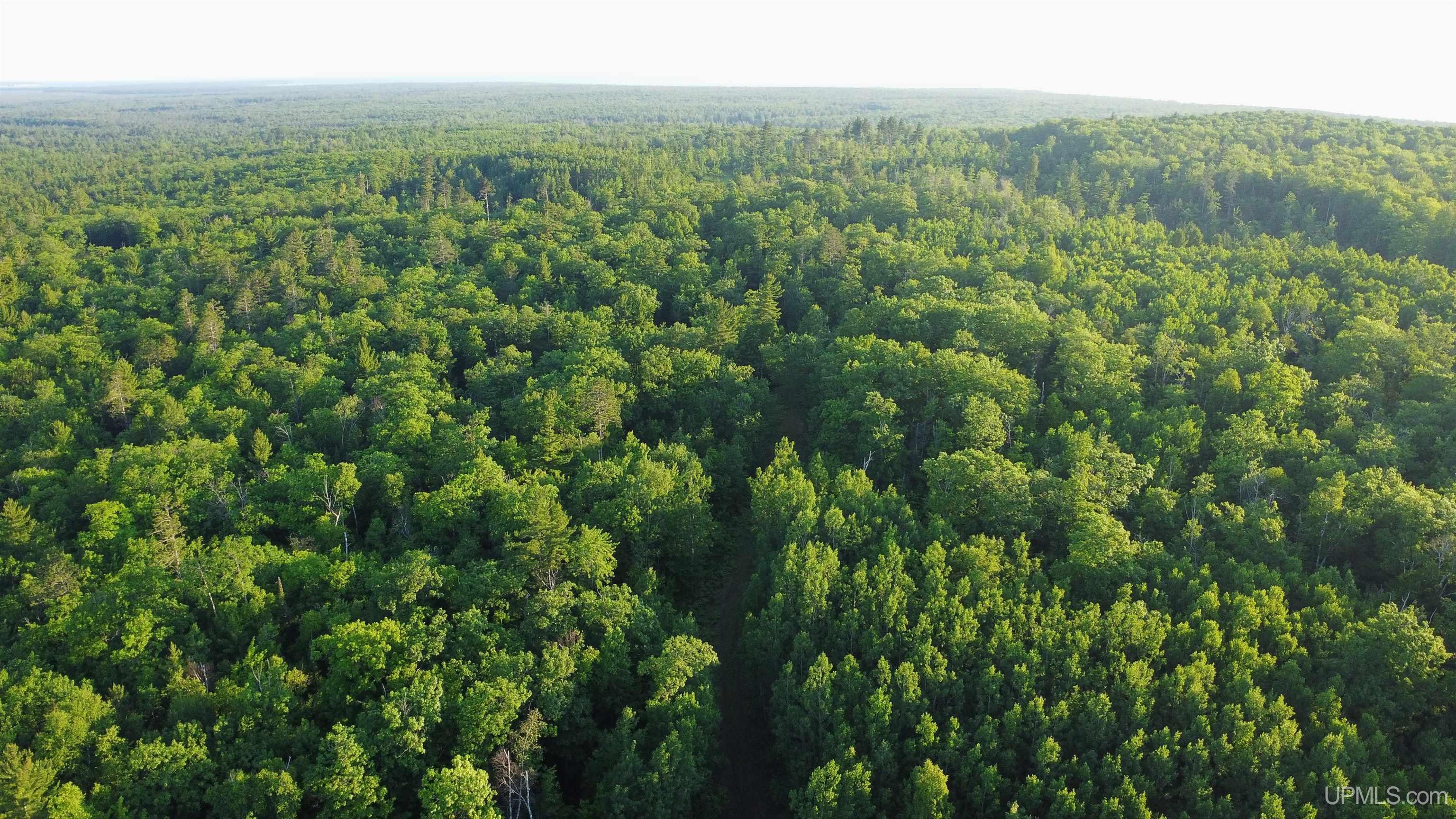 Off Brown Deer Road Marquette, MI 49855 - Photo 2 of 13