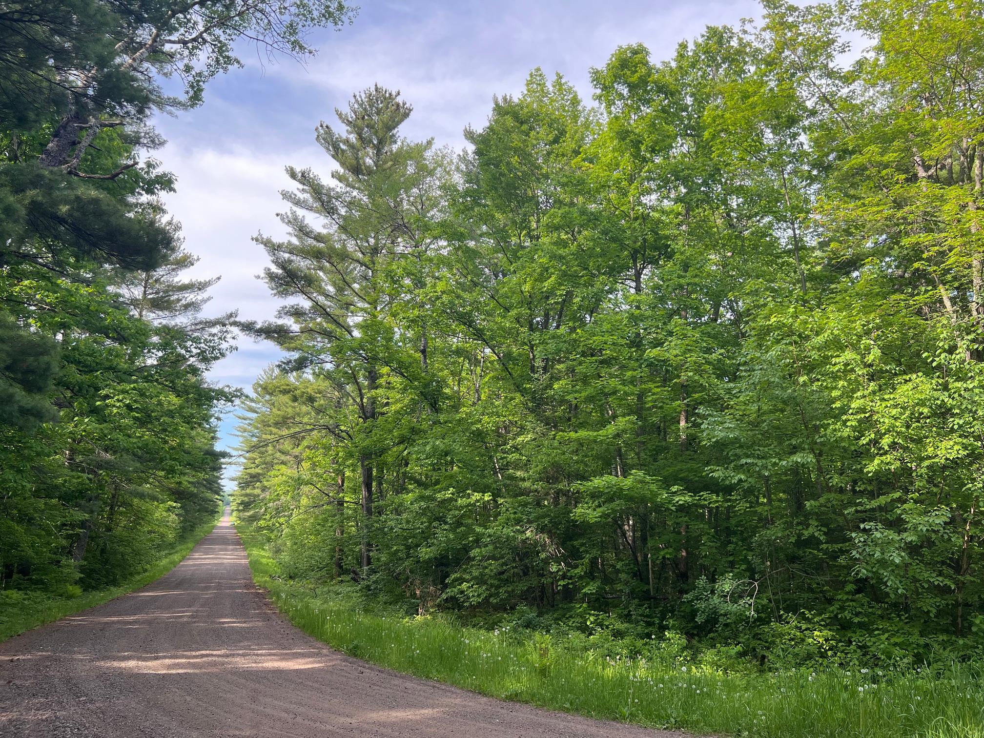 Tbd Smith Road Couderay, WI 54828 - Photo 21 of 23