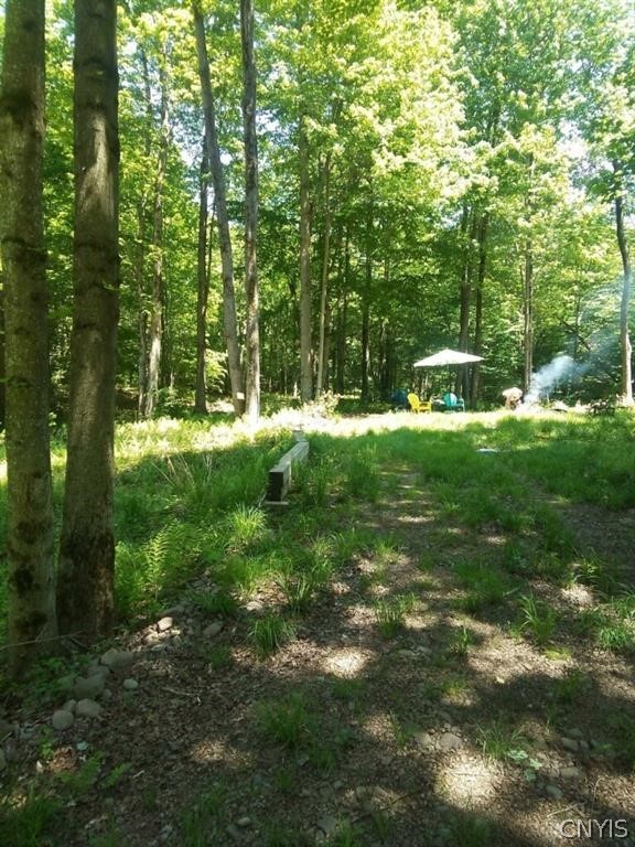 2 Tamblin Ridge Trail Bernhards Bay, NY 13028 - Photo 8 of 12
