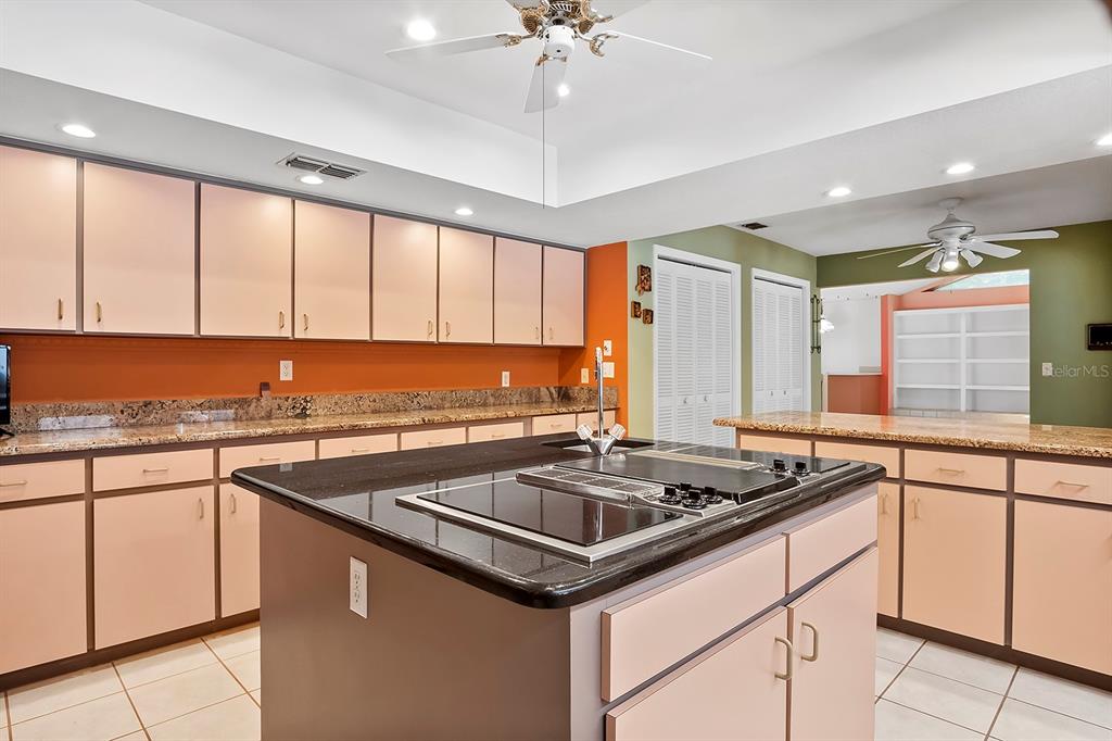 6049 Patricia Place Weeki Wachee, FL 34607 - Photo 15 of 57