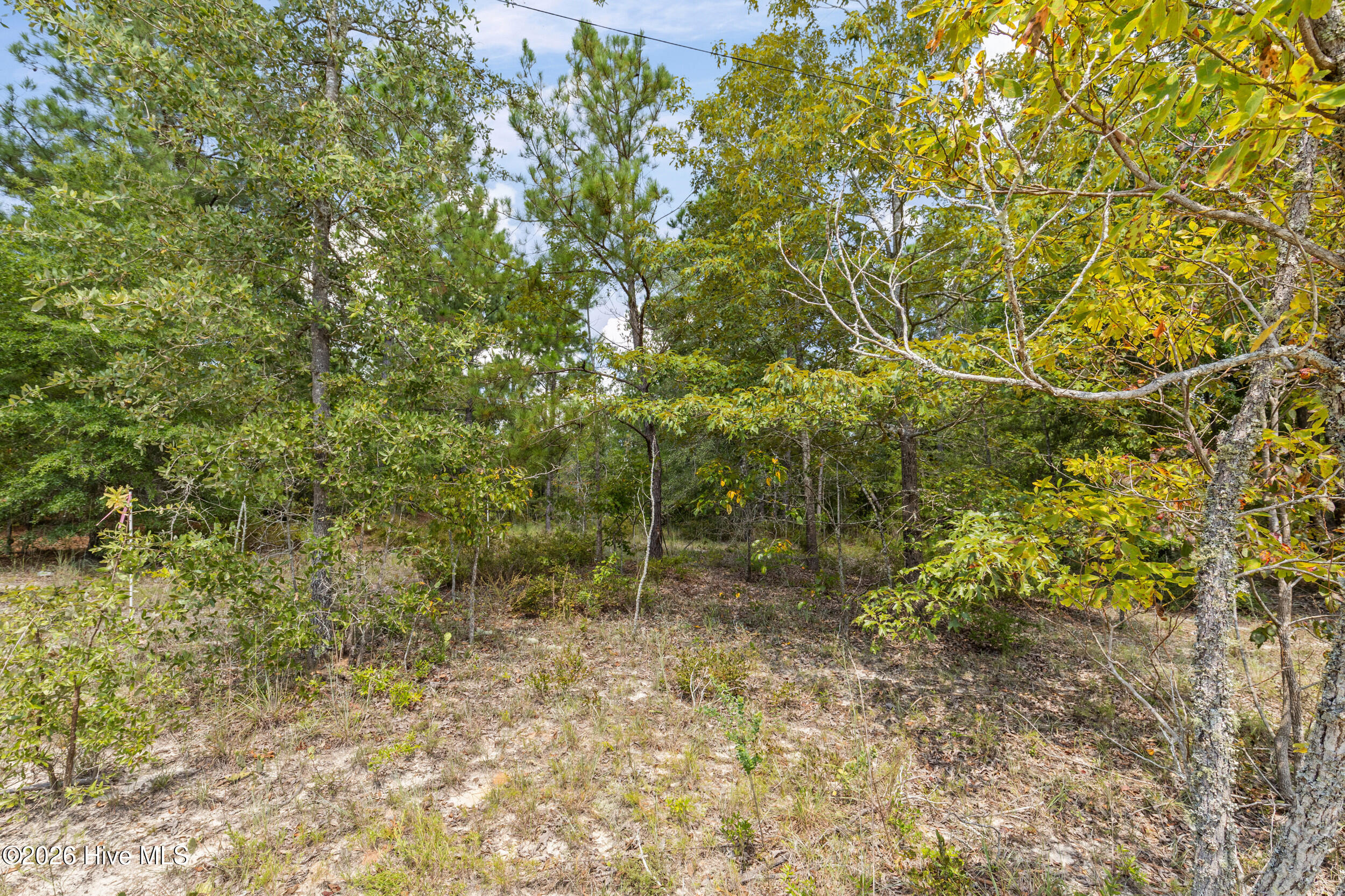 Lot 16 Farmers Bridge Road Hephzibah, GA 30815 - Photo 3 of 21 Gallery Image 3