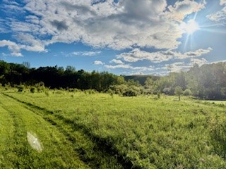 Ridgeview Road Norwich, NY 13815 - Photo 5 of 11
