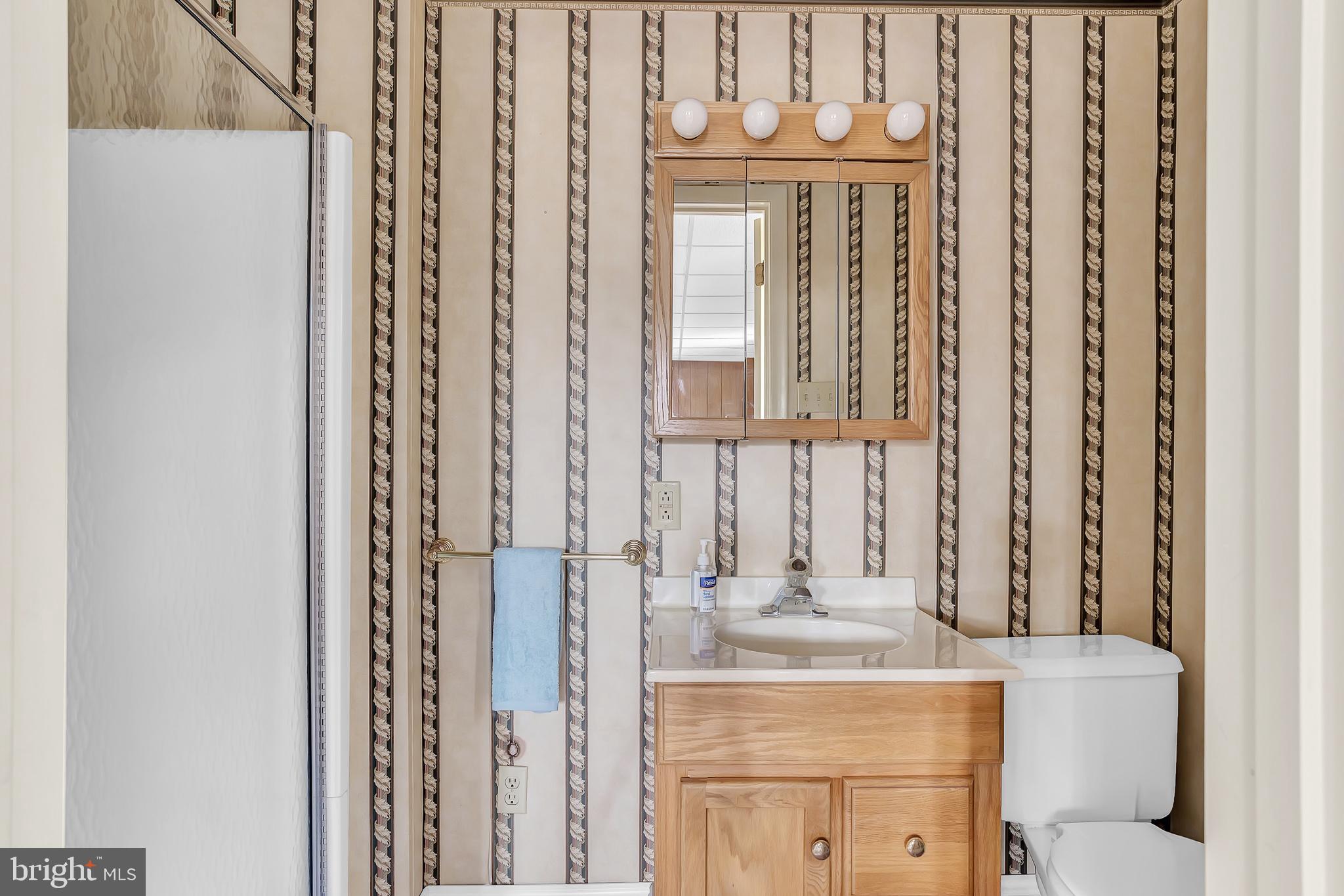 26919 Fitzgerald Road Princess Anne, MD 21853 - Photo 45 of 84 a bathroom with a mirror a sink and a shower curtain