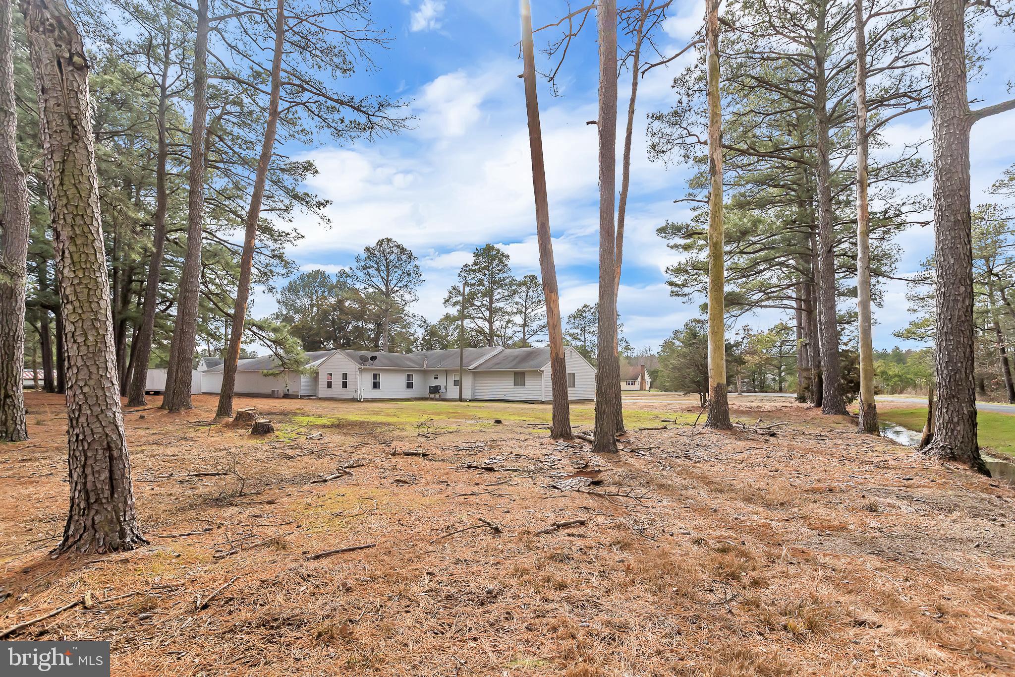26919 Fitzgerald Road Princess Anne, MD 21853 - Photo 83 of 84