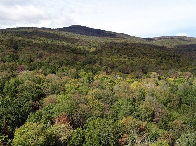 1 Eagle Ledge Road Worcester, VT 05682 - Photo 1 of 9