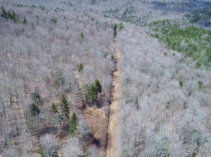 1 Eagle Ledge Road Worcester, VT 05682 - Photo 3 of 9