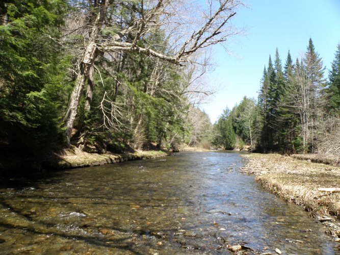 1 Eagle Ledge Road Worcester, VT 05682 - Photo 6 of 9