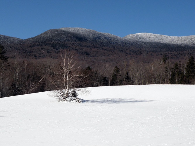 1 Eagle Ledge Road Worcester, VT 05682 - Photo 7 of 9