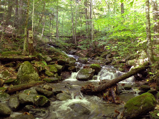 1 Eagle Ledge Road Worcester, VT 05682 - Photo 8 of 9