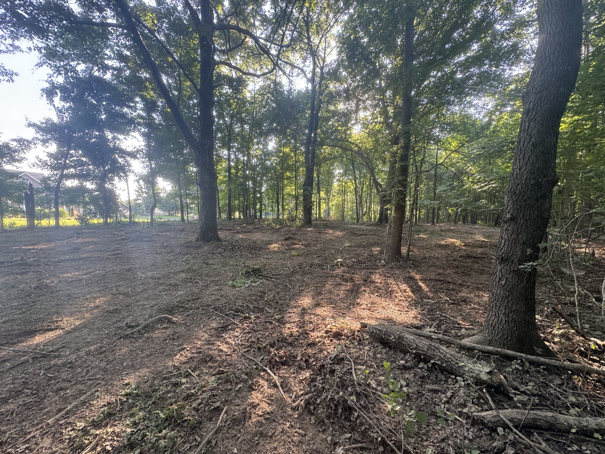 0 Lock B Road North Clarksville, TN 37043 - Photo 2 of 3 Gallery Image 2