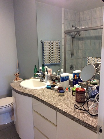 531 Glenshire Road Glenview, IL 60025 - Photo 13 of 21