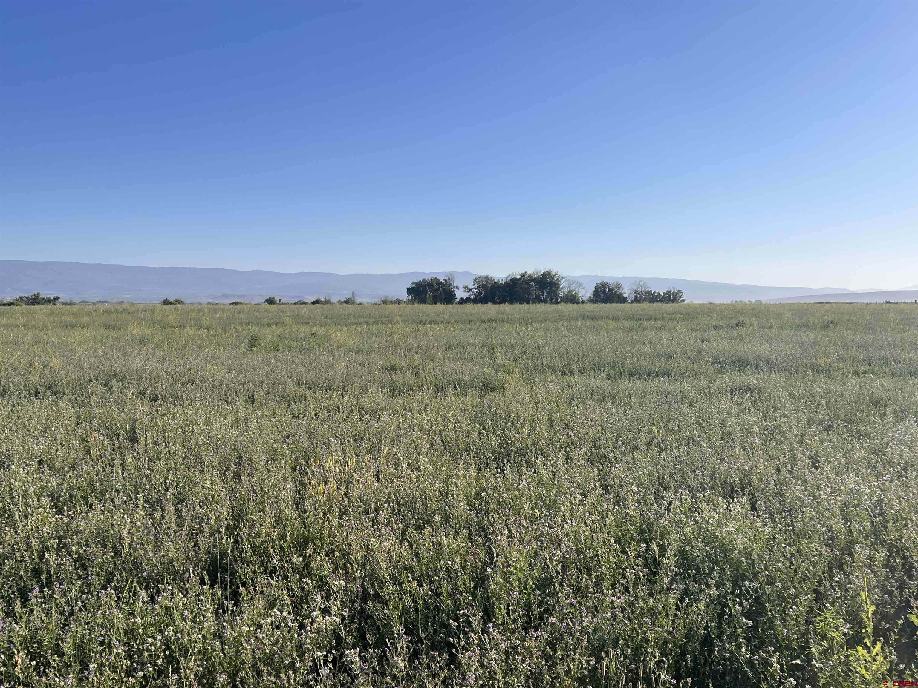 Tbd 5725th Road Olathe, CO 81425 - Photo 7 of 19