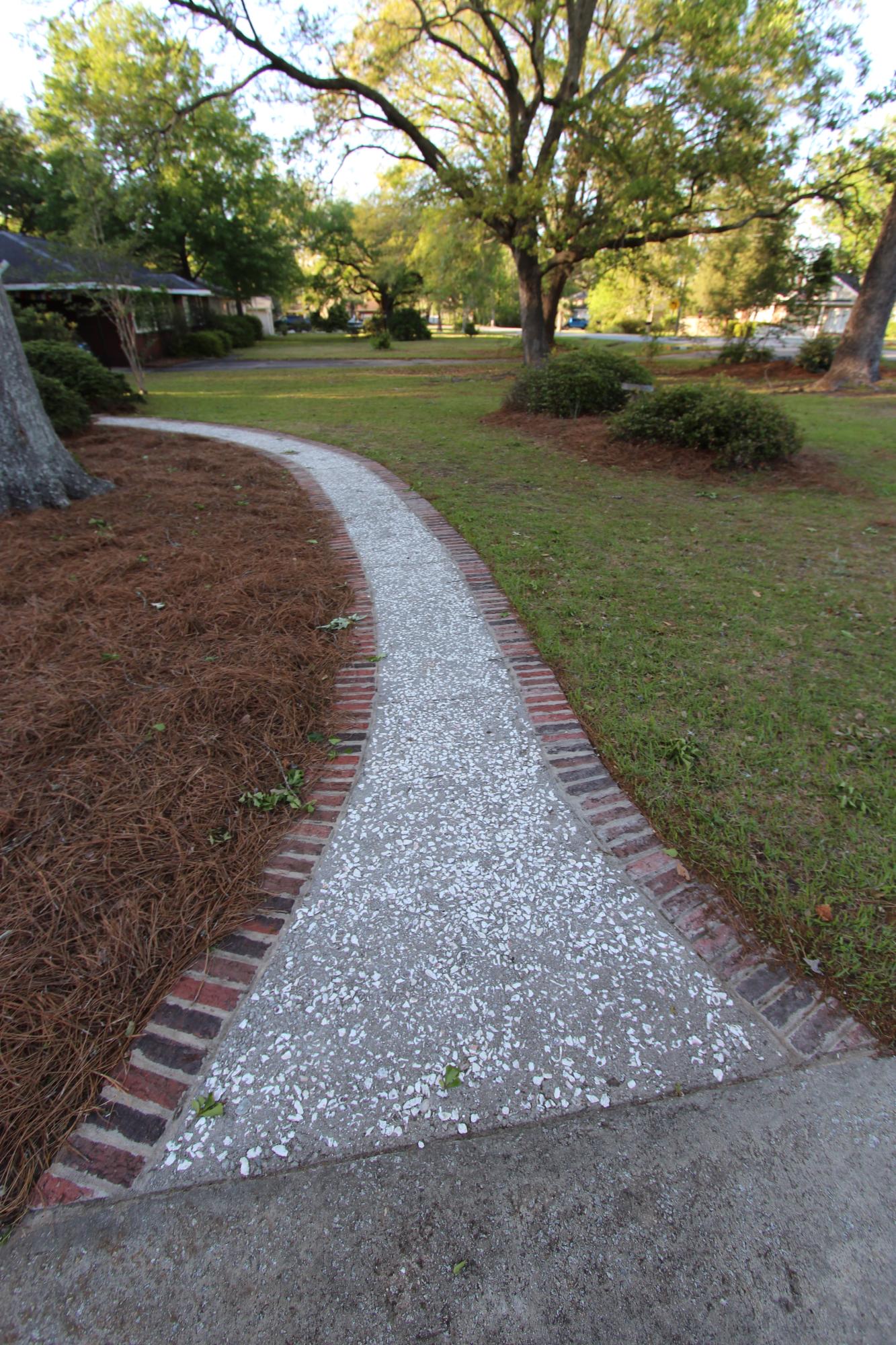 1010 Lepley Road Hanahan, SC 29410 - Photo 46 of 90 IMG_3465