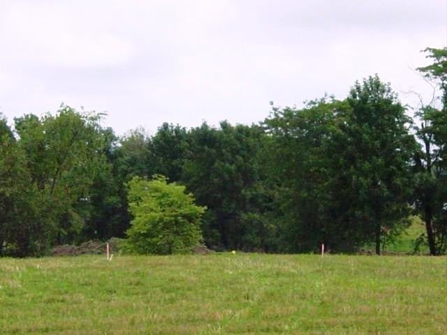 Lot 4 Stone Ridge Estates Riverside, IA 52327 - Photo 5 of 5 Gallery Image 5