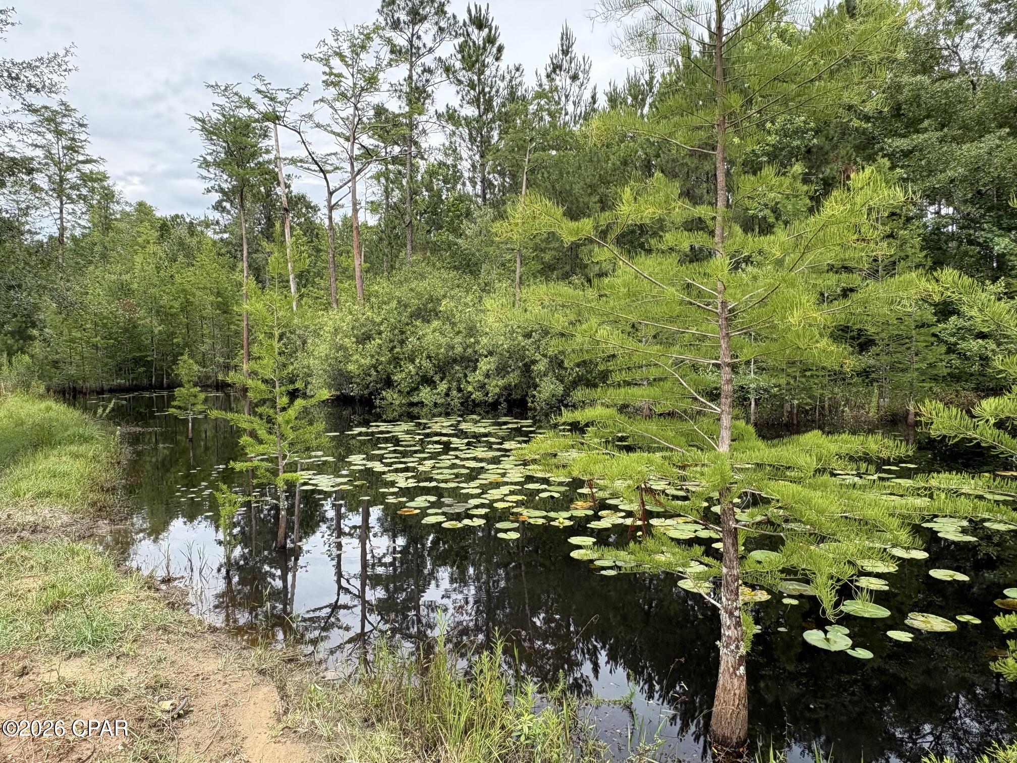 2802 Sylvania Road Vernon, FL 32462 - Photo 13 of 38