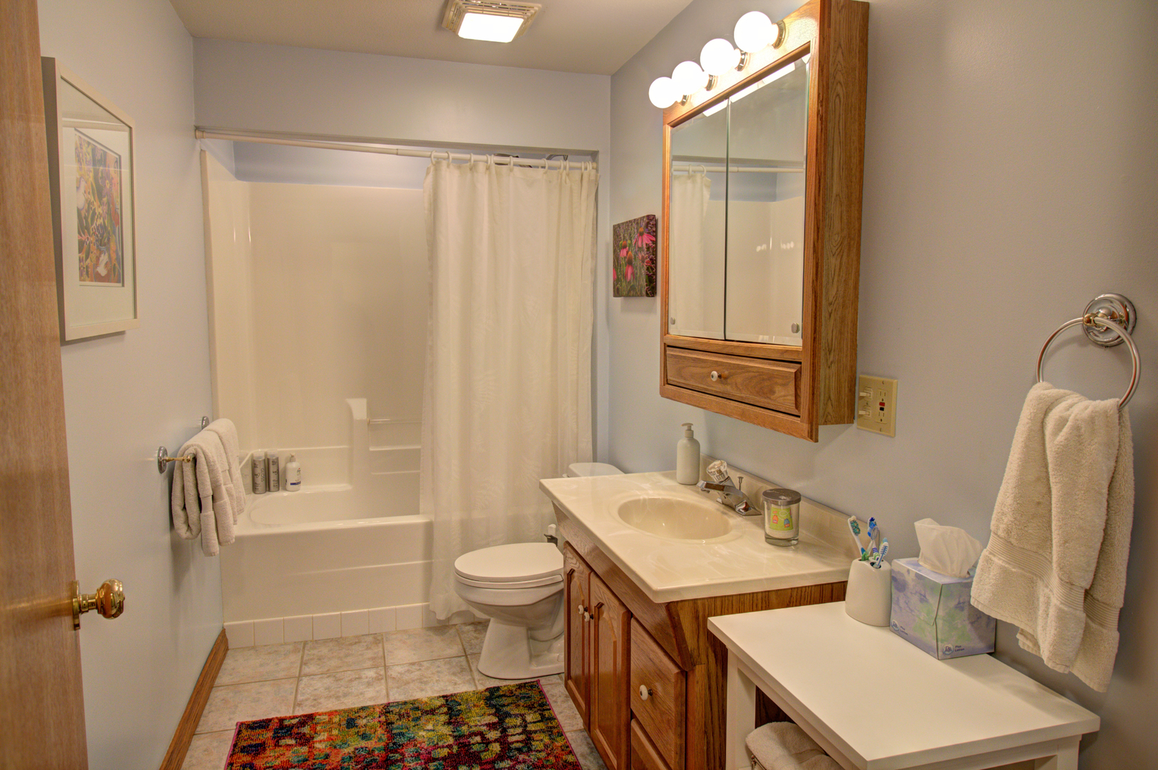 16360 Spring Valley Road Morrison, IL 61270 - Photo 47 of 60 a bathroom with a sink toilet and shower