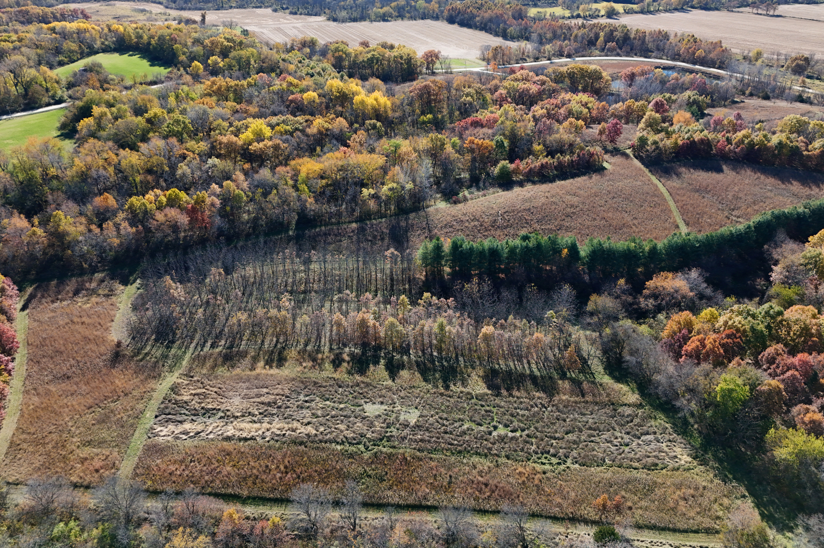 16360 Spring Valley Road Morrison, IL 61270 - Photo 53 of 60 a view of a lake with large trees
