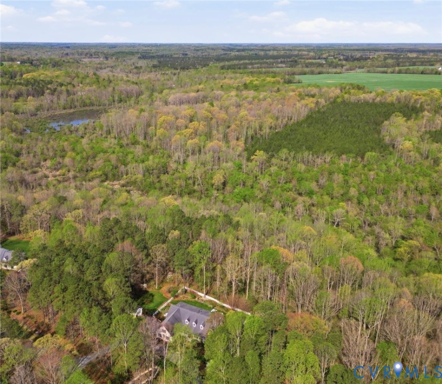 14430 Overlook Ridge Lane Beaverdam, VA 23015 - Photo 1 of 71 a view of an outdoor space and a lake view