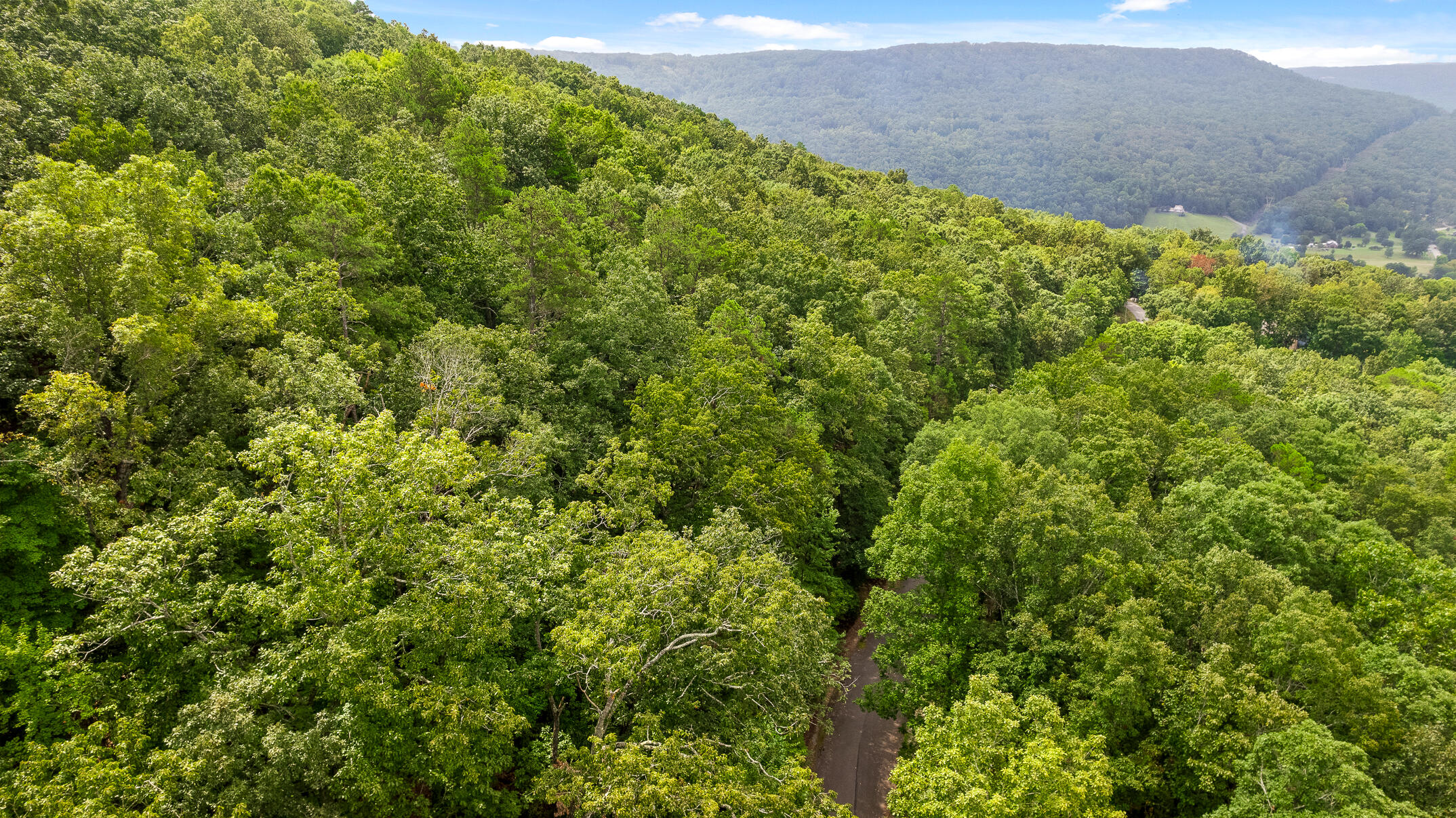 0 Bluffs N Road, Unit 10 Guild, TN 37340 - Photo 11 of 21 BluffsRdNorthLot10-16