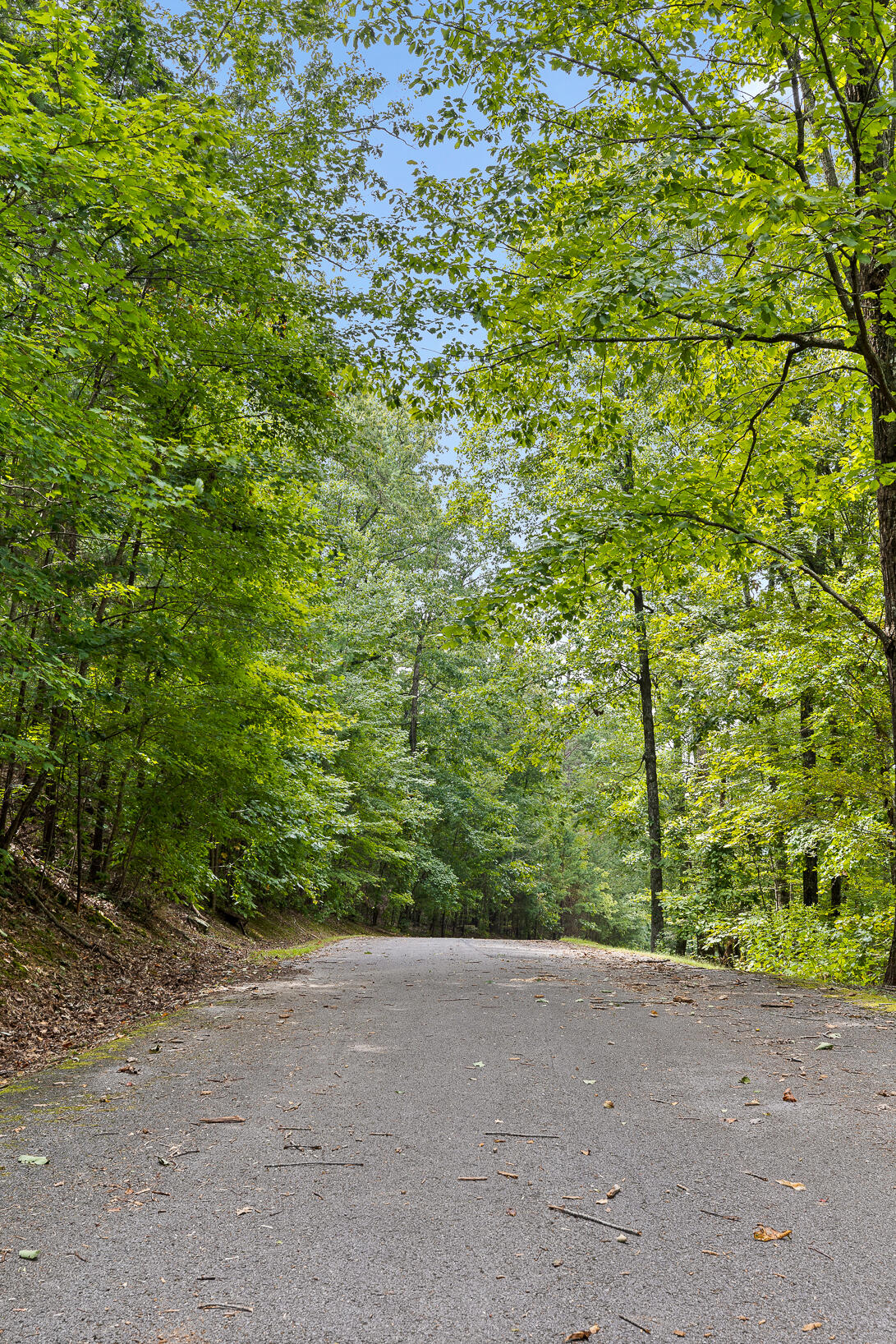 0 Bluffs N Road, Unit 10 Guild, TN 37340 - Photo 13 of 21 BluffsRdNorthLot10-14