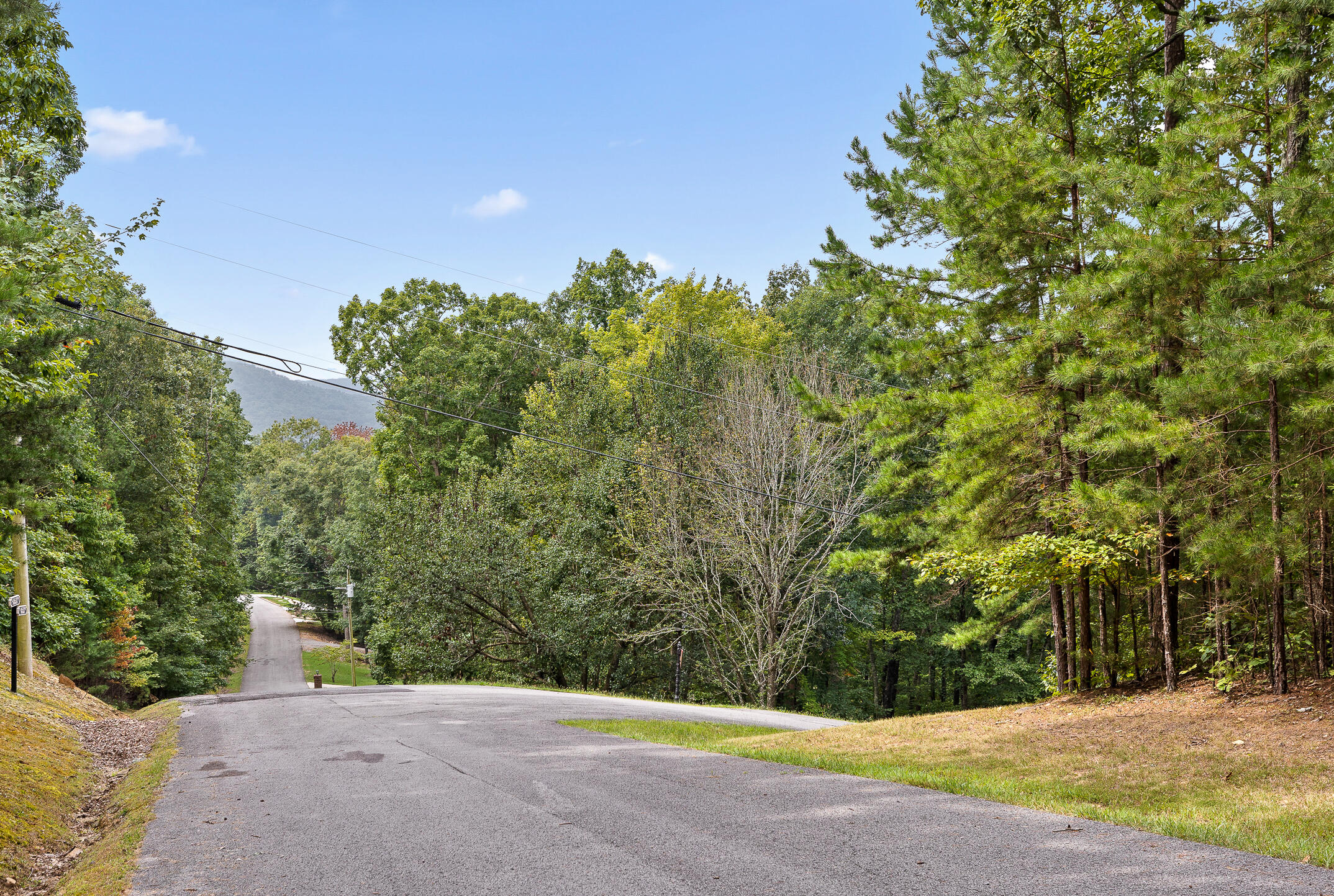 0 Bluffs N Road, Unit 10 Guild, TN 37340 - Photo 14 of 21 BluffsRdNorthLot10-13