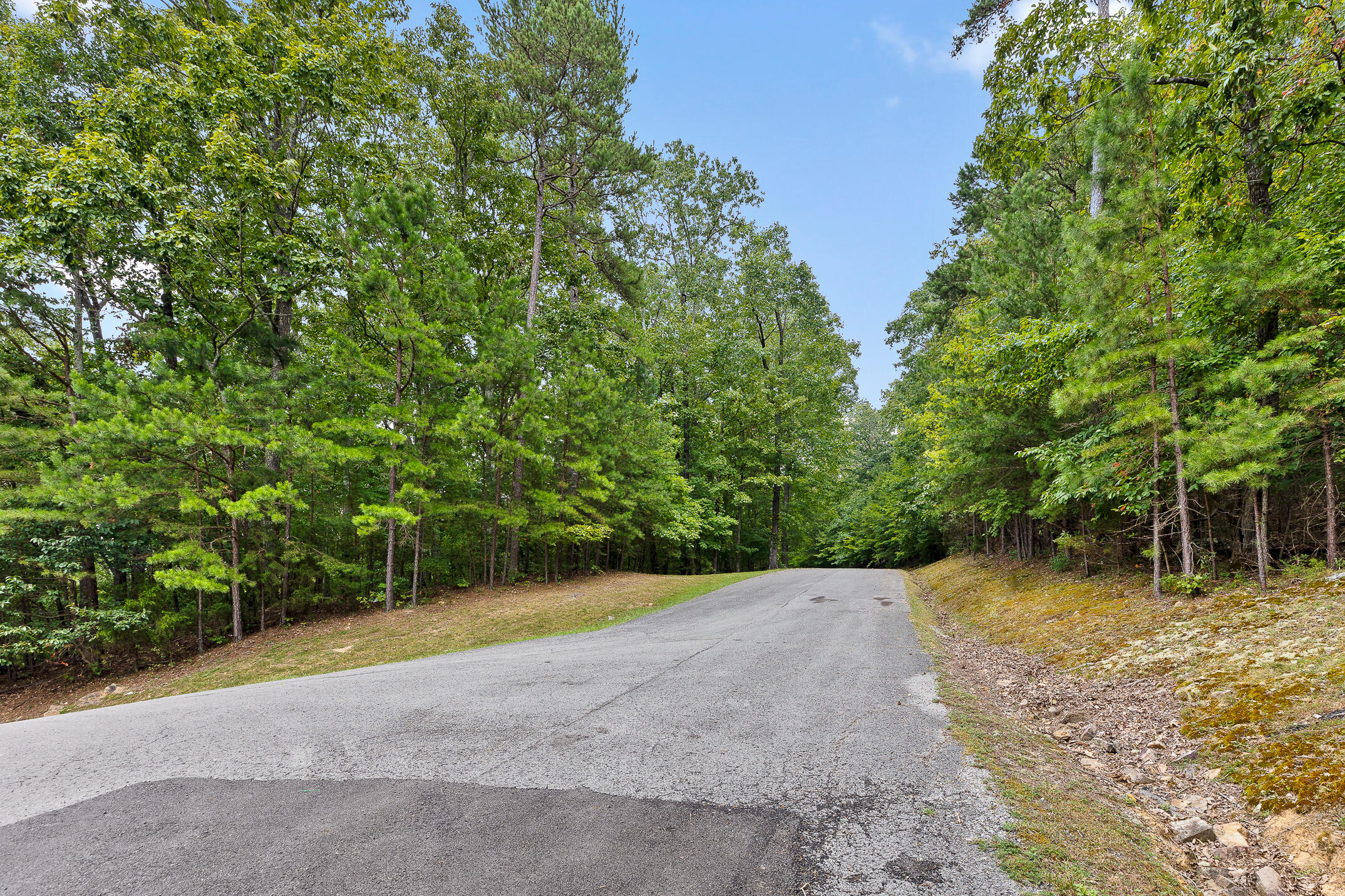 0 Bluffs N Road, Unit 10 Guild, TN 37340 - Photo 19 of 21 BluffsRdNorthLot10-5