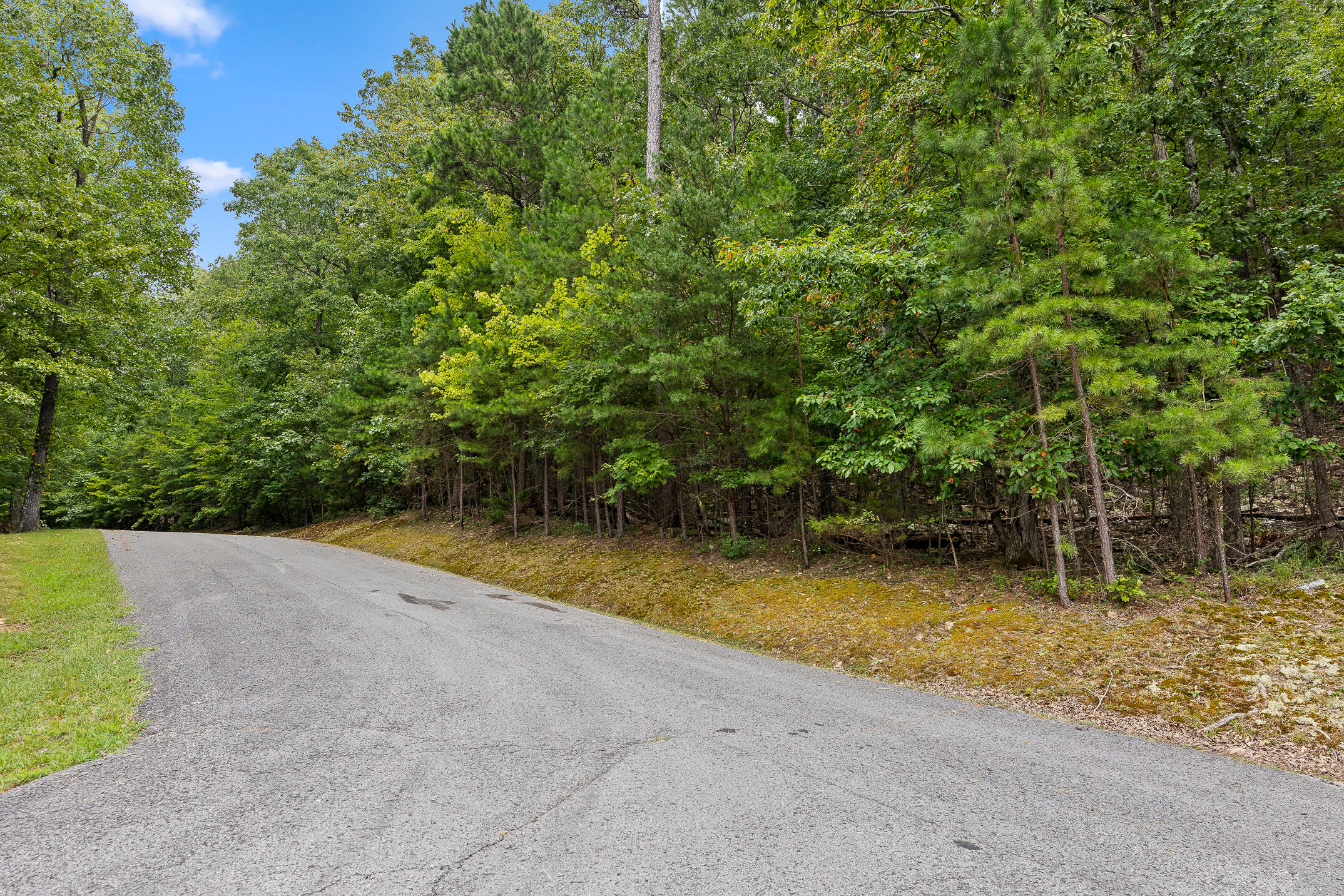 0 Bluffs N Road, Unit 10 Guild, TN 37340 - Photo 20 of 21 BluffsRdNorthLot10-3