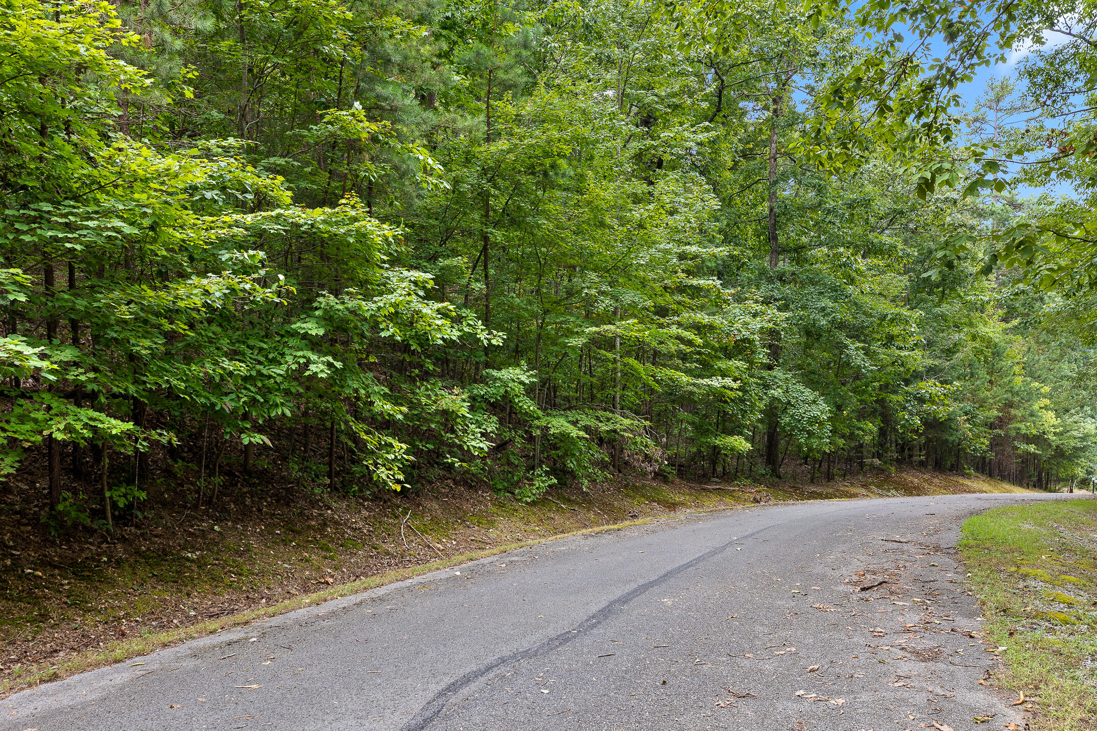 0 Bluffs N Road, Unit 10 Guild, TN 37340 - Photo 21 of 21 BluffsRdNorthLot10-1