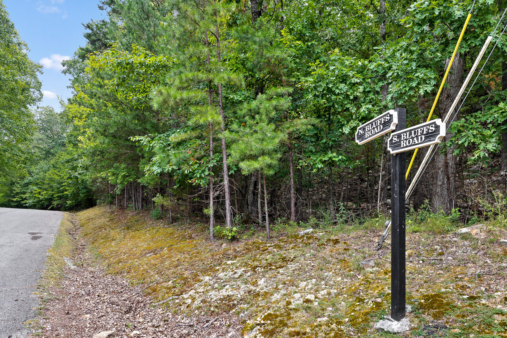 0 Bluffs N Road, Unit 10 Guild, TN 37340 - Photo 3 of 21 BluffsRdNorthLot10-4