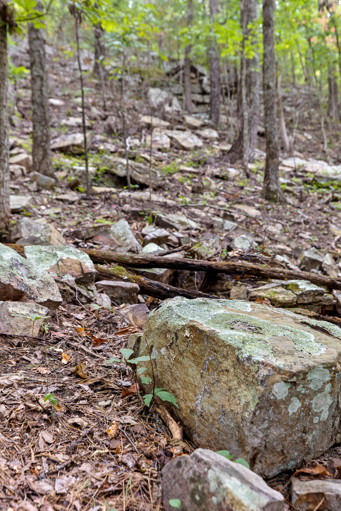 0 Bluffs N Road, Unit 10 Guild, TN 37340 - Photo 4 of 21 BluffsRdNorthLot10-12