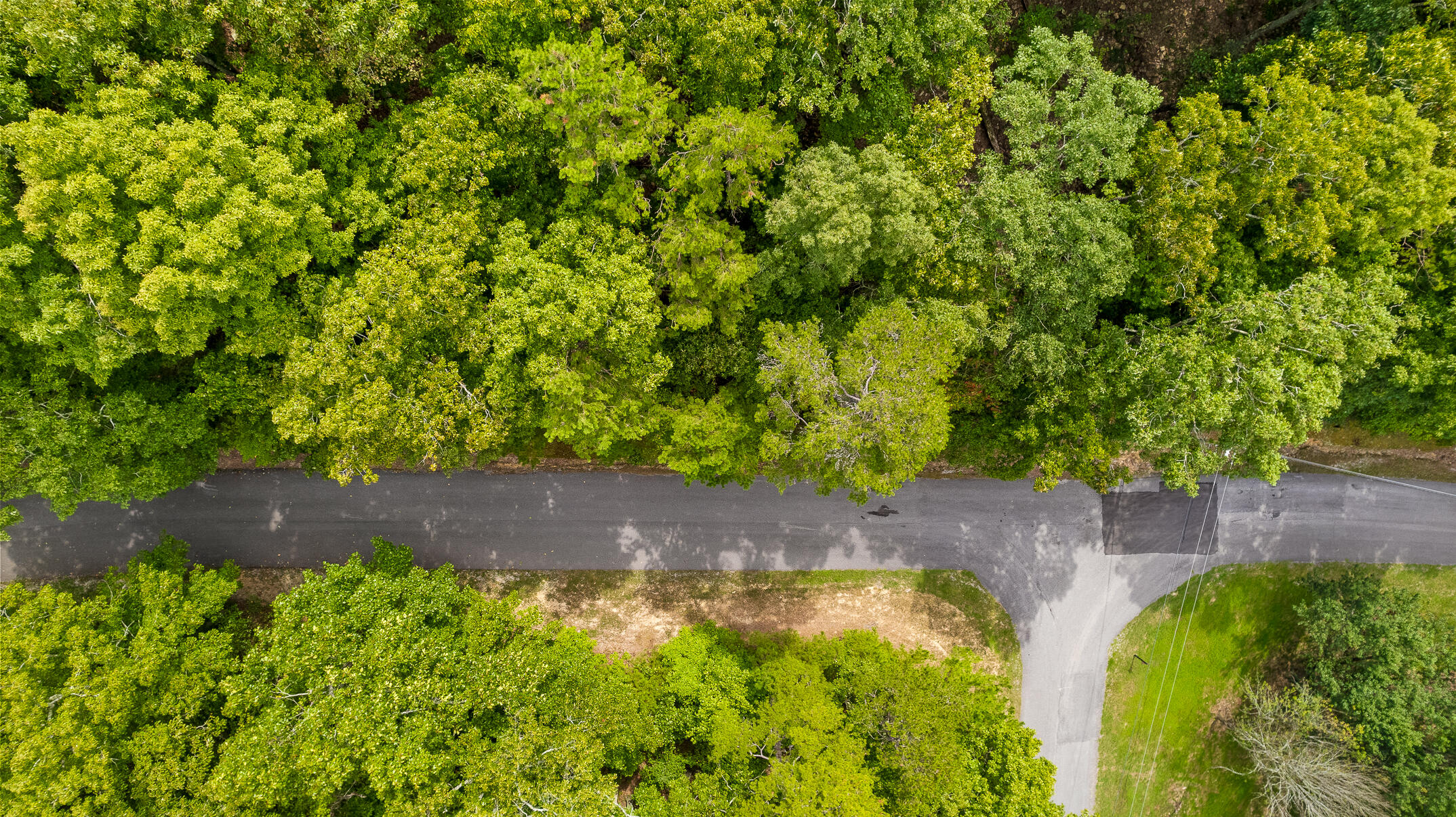 0 Bluffs N Road, Unit 10 Guild, TN 37340 - Photo 8 of 21 BluffsRdNorthLot10-20