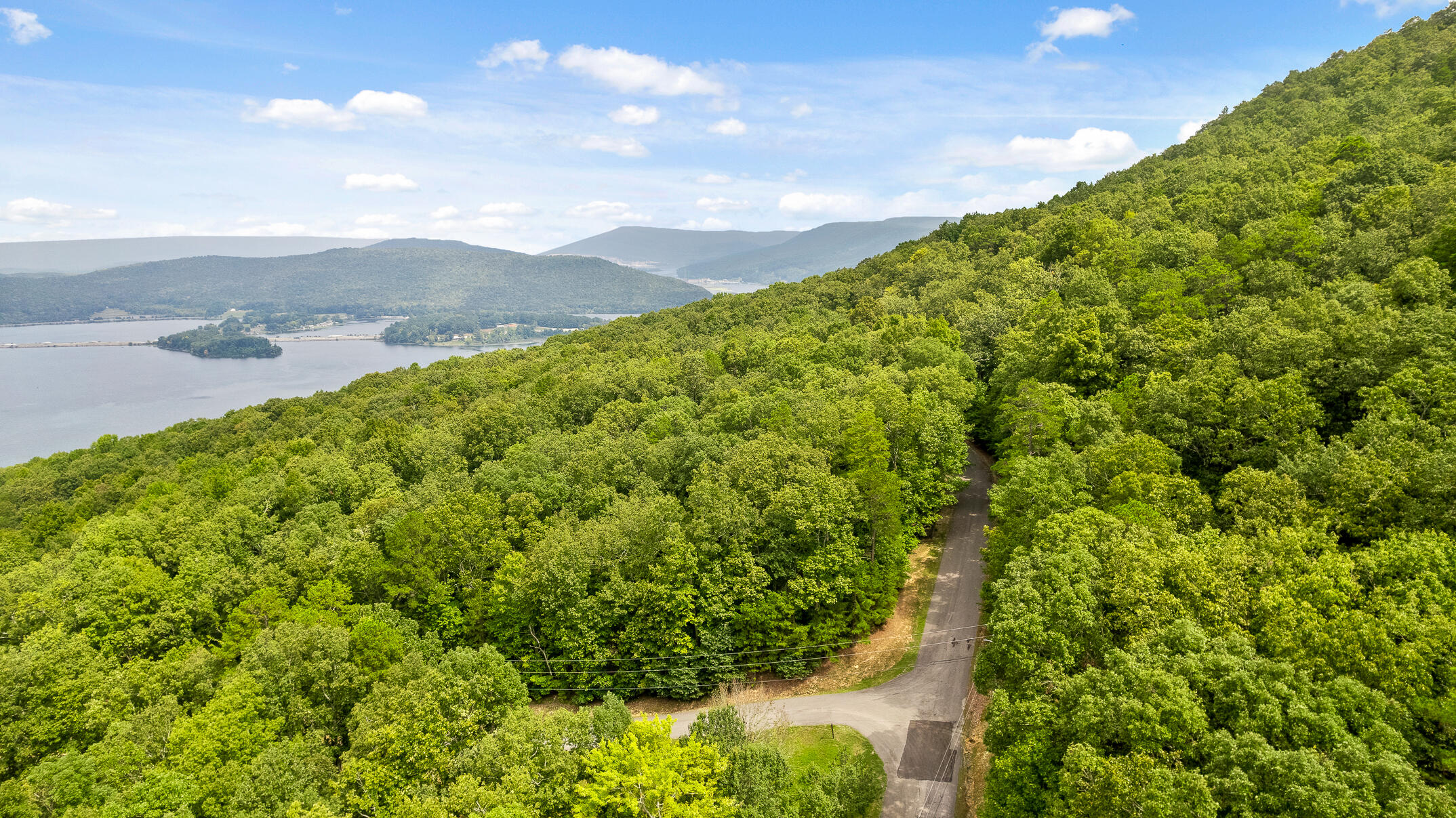 0 Bluffs N Road, Unit 10 Guild, TN 37340 - Photo 9 of 21 BluffsRdNorthLot10-19